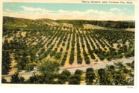 Cherry+Orchards+in+Indiana ... States > Michigan > MICHIGAN Traverse City - Cherry Orchard 1931